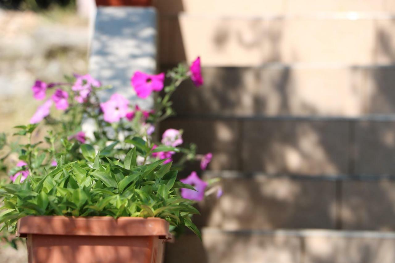Apartmani Barada Seget Vranjica Bagian luar foto